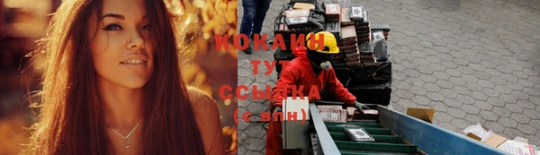 ГАЛЛЮЦИНОГЕННЫЕ ГРИБЫ Алексин