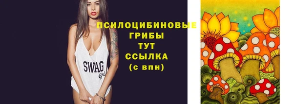 ГАЛЛЮЦИНОГЕННЫЕ ГРИБЫ Алексин