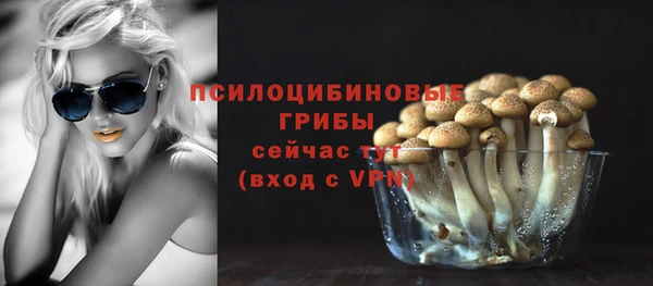 mdpv Алзамай