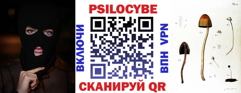 Галлюциногенные грибы Psilocybine cubensis  Северская 